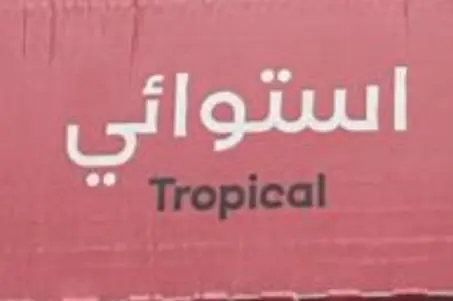 Zoi Ice Tea Tropical 24*320ml